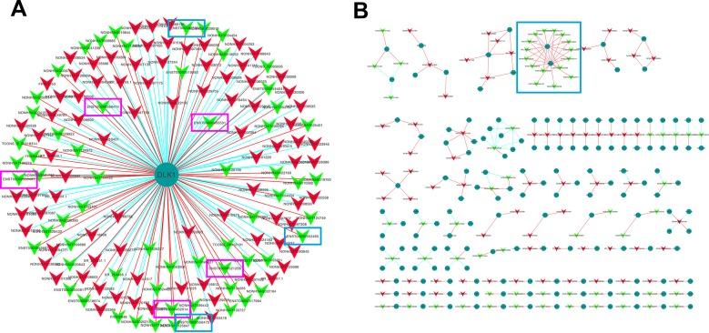 https://cdn.ncbi.nlm.nih.gov/pmc/blobs/88ce/5762536/a4a644be7a31/oncotarget-08-112623-g005.jpg
