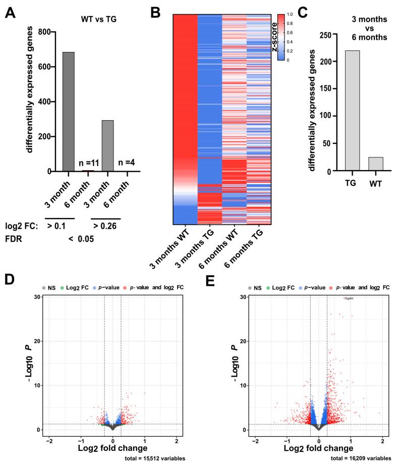 https://cdn.ncbi.nlm.nih.gov/pmc/blobs/88e1/12196295/8296711b4820/ncrna-11-00045-g003.jpg