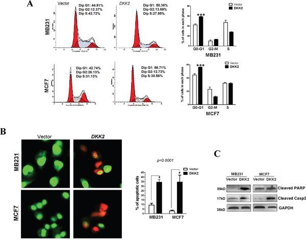 https://cdn.ncbi.nlm.nih.gov/pmc/blobs/88ee/5503624/74850e8318e3/oncotarget-08-39443-g005.jpg