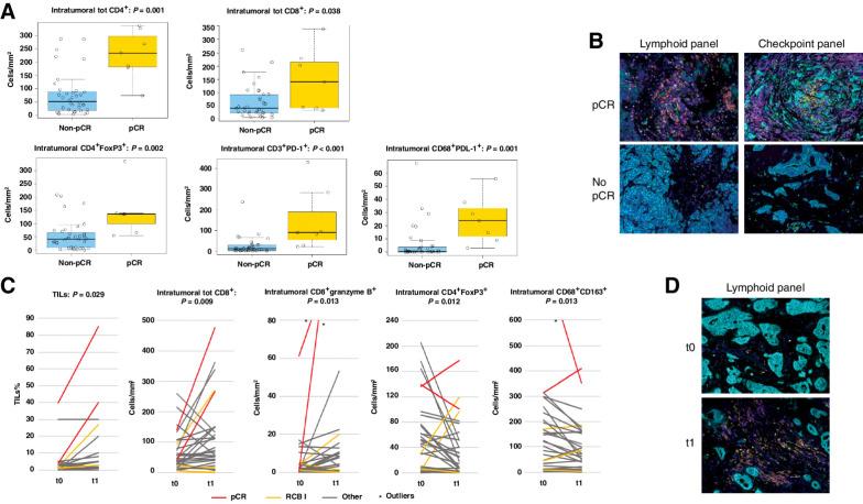 https://cdn.ncbi.nlm.nih.gov/pmc/blobs/88fb/9401542/3baec75cfd9a/308fig3.jpg