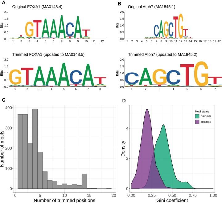 https://cdn.ncbi.nlm.nih.gov/pmc/blobs/8908/10767809/477cb94e9889/gkad1059fig2.jpg