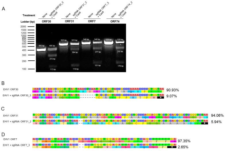 https://cdn.ncbi.nlm.nih.gov/pmc/blobs/8917/10975850/71dc121cb135/viruses-16-00409-g006.jpg