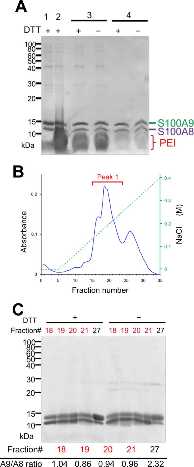 https://cdn.ncbi.nlm.nih.gov/pmc/blobs/894b/5600424/10a202cdf6c1/gr2.jpg