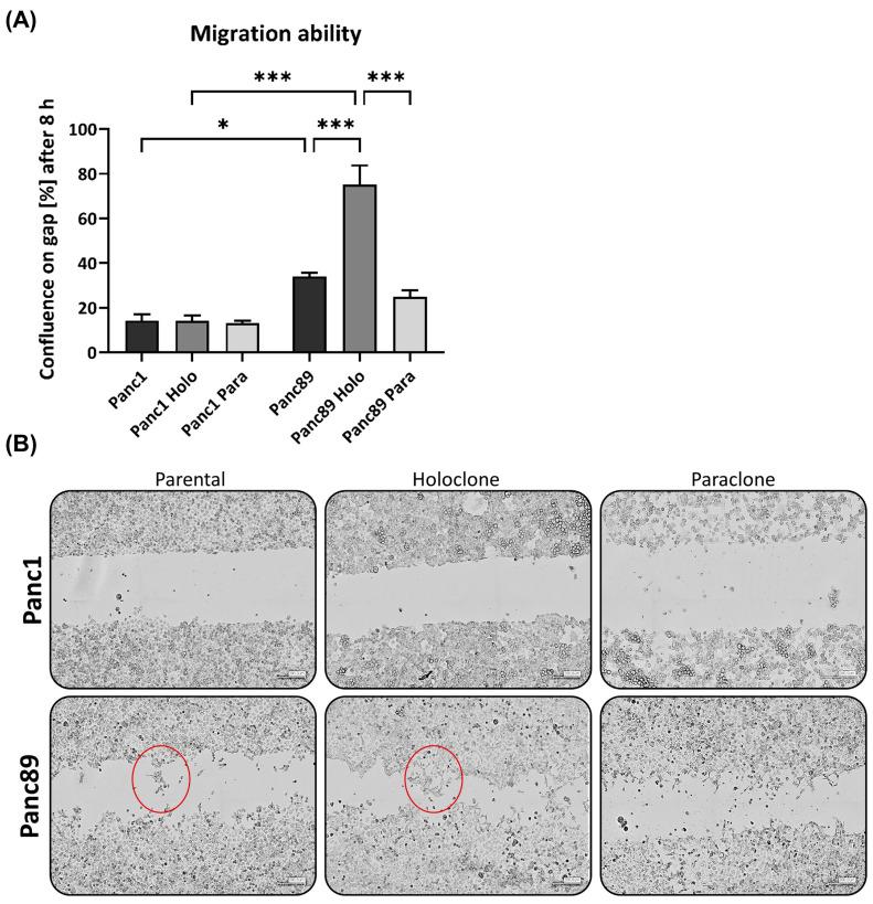 https://cdn.ncbi.nlm.nih.gov/pmc/blobs/8954/10886860/f8afea0d756f/cancers-16-00686-g004a.jpg