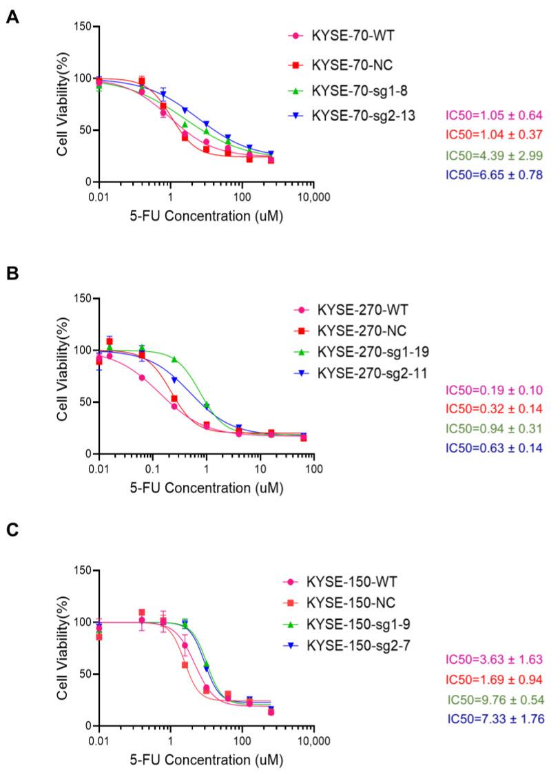 https://cdn.ncbi.nlm.nih.gov/pmc/blobs/8956/12109790/2b183a56f23a/cancers-17-01637-g002.jpg