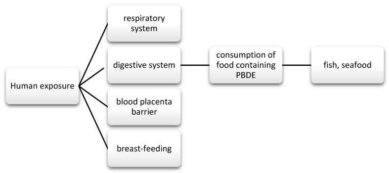 https://cdn.ncbi.nlm.nih.gov/pmc/blobs/8961/7998837/c2b443a80ceb/nutrients-13-00867-g006.jpg