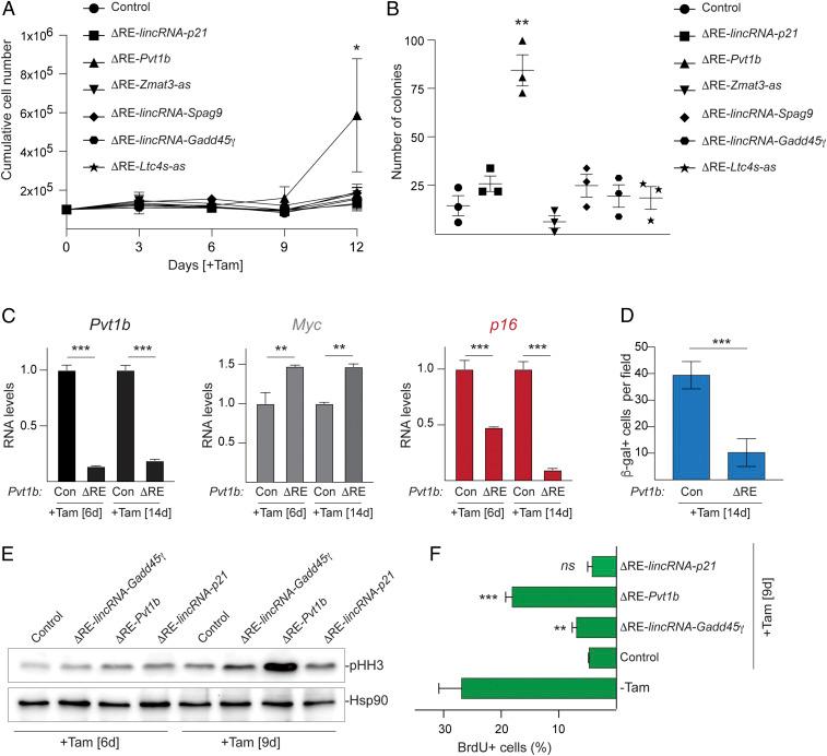 https://cdn.ncbi.nlm.nih.gov/pmc/blobs/8965/8346867/0615bb5ba0cb/pnas.2025539118fig05.jpg