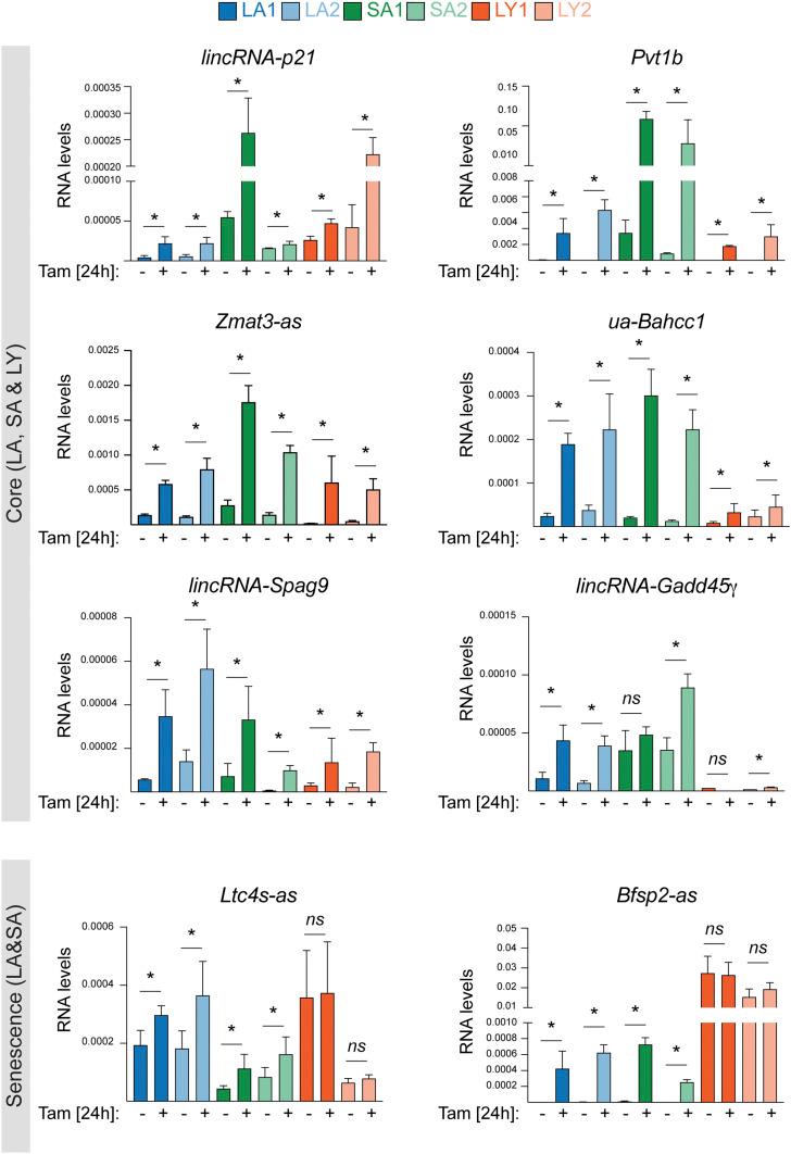 https://cdn.ncbi.nlm.nih.gov/pmc/blobs/8965/8346867/a47de6d8836d/pnas.2025539118fig03.jpg