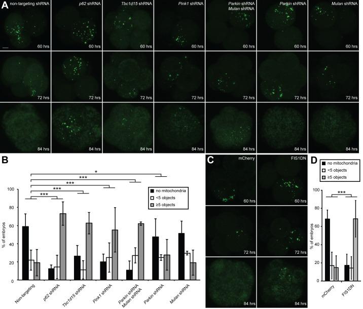 https://cdn.ncbi.nlm.nih.gov/pmc/blobs/8997/5127638/3ce41feed7da/elife-17896-fig5.jpg