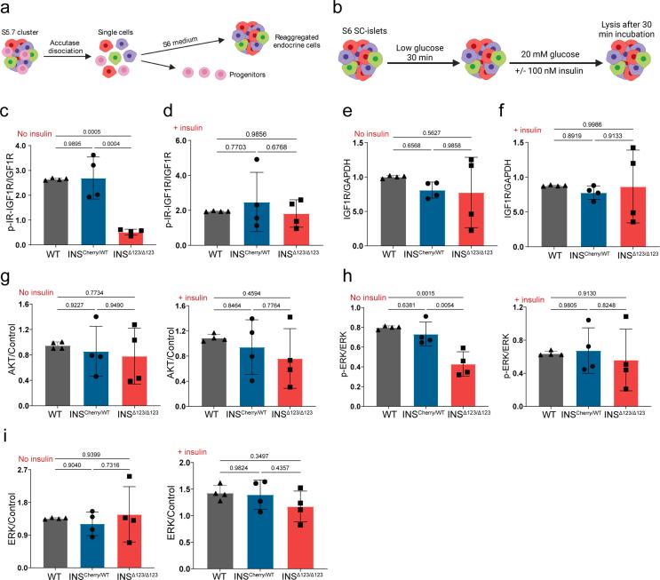 https://cdn.ncbi.nlm.nih.gov/pmc/blobs/89b3/10765254/a7ab8d956a11/figs4.jpg