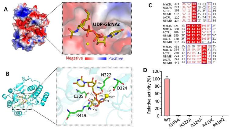 https://cdn.ncbi.nlm.nih.gov/pmc/blobs/89d9/10668966/2cee111b242b/biomolecules-13-01611-g004.jpg
