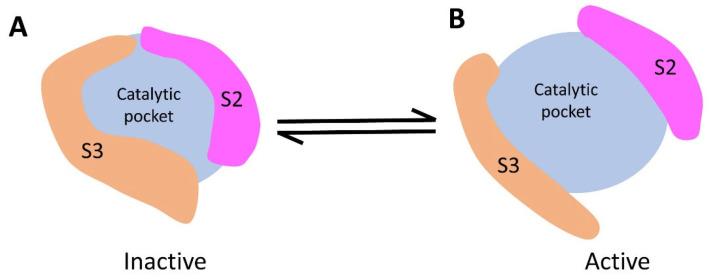 https://cdn.ncbi.nlm.nih.gov/pmc/blobs/89d9/10668966/503c9c2c3495/biomolecules-13-01611-g008.jpg