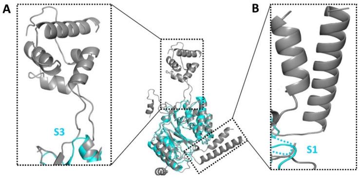 https://cdn.ncbi.nlm.nih.gov/pmc/blobs/89d9/10668966/56fa787a8c59/biomolecules-13-01611-g002.jpg