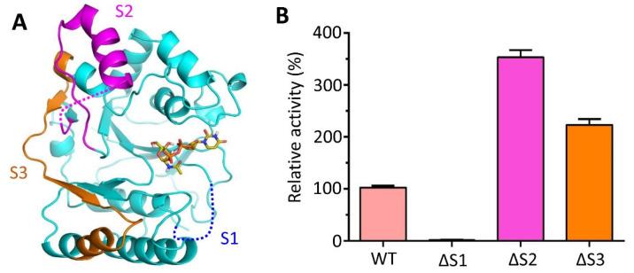 https://cdn.ncbi.nlm.nih.gov/pmc/blobs/89d9/10668966/796dbb17cf18/biomolecules-13-01611-g006.jpg