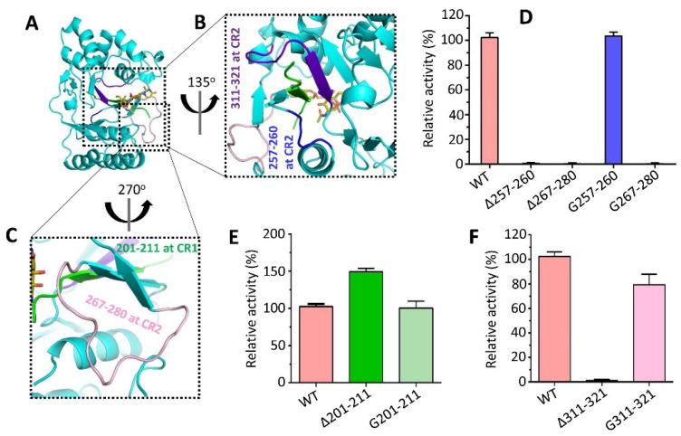 https://cdn.ncbi.nlm.nih.gov/pmc/blobs/89d9/10668966/ed5e87de49eb/biomolecules-13-01611-g005.jpg