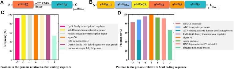 https://cdn.ncbi.nlm.nih.gov/pmc/blobs/89e0/12019637/84d7b9a91796/gkaf339fig4.jpg