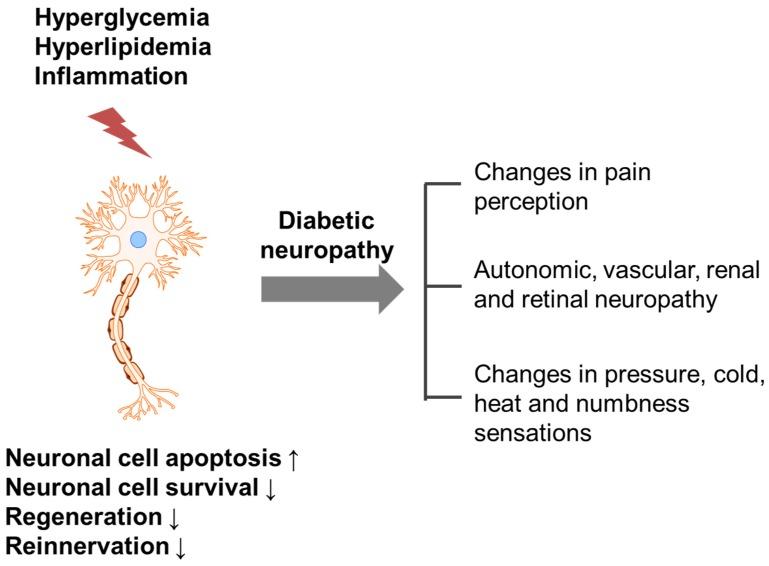 https://cdn.ncbi.nlm.nih.gov/pmc/blobs/89e3/4997385/92af9e1e874e/nutrients-08-00472-g001.jpg