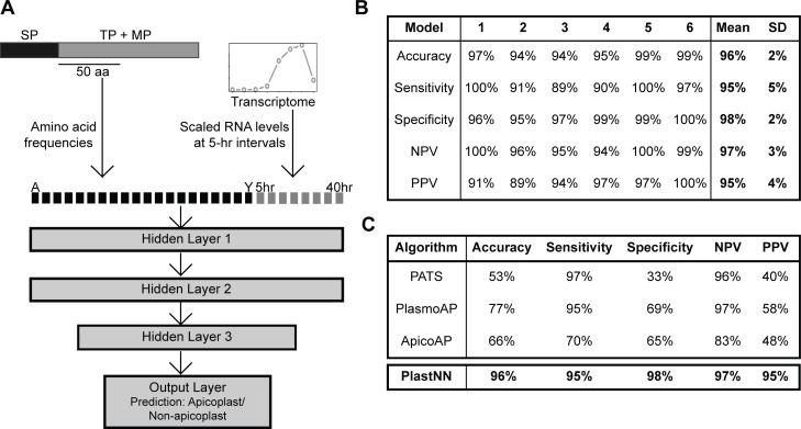 https://cdn.ncbi.nlm.nih.gov/pmc/blobs/89f1/6155542/2a33ca725392/pbio.2005895.g004.jpg