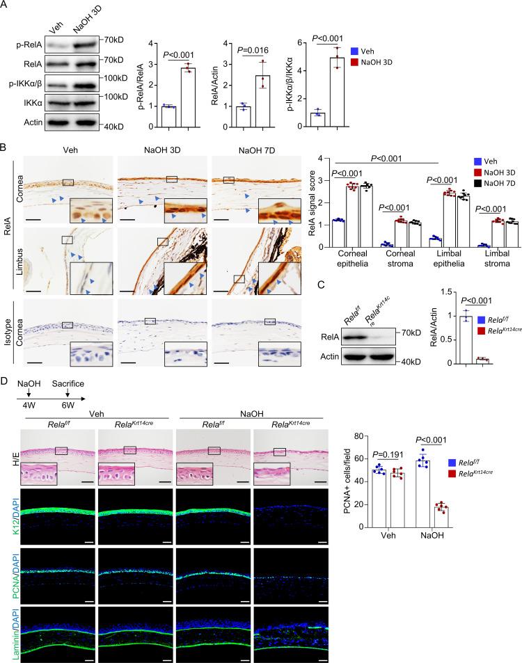 https://cdn.ncbi.nlm.nih.gov/pmc/blobs/89f3/8192125/0ee30286a221/elife-67315-fig1.jpg