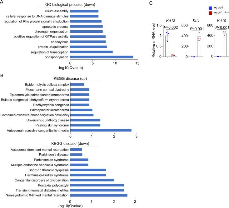 https://cdn.ncbi.nlm.nih.gov/pmc/blobs/89f3/8192125/57ccba5845a3/elife-67315-fig3-figsupp3.jpg