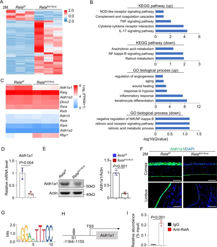 https://cdn.ncbi.nlm.nih.gov/pmc/blobs/89f3/8192125/abbce4018bc3/elife-67315-fig4.jpg