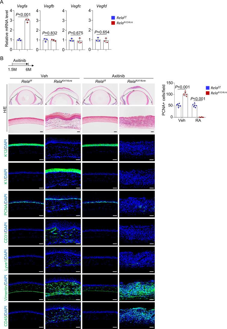 https://cdn.ncbi.nlm.nih.gov/pmc/blobs/89f3/8192125/aea2ef7146f2/elife-67315-fig5-figsupp2.jpg