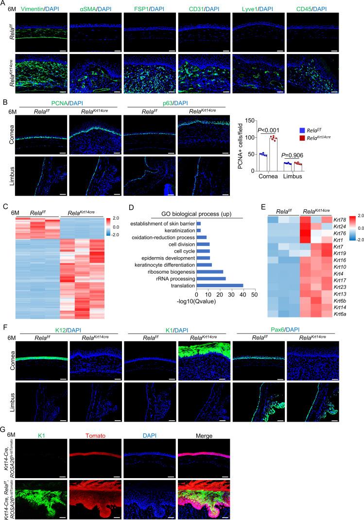 https://cdn.ncbi.nlm.nih.gov/pmc/blobs/89f3/8192125/ba33b80a020a/elife-67315-fig3.jpg