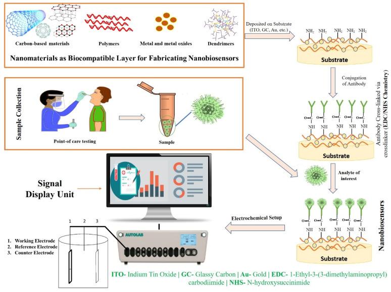 https://cdn.ncbi.nlm.nih.gov/pmc/blobs/89fb/9405813/c3f6b2331fe3/biosensors-12-00637-g002.jpg