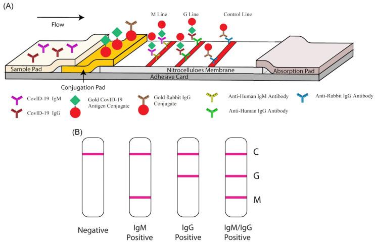 https://cdn.ncbi.nlm.nih.gov/pmc/blobs/89fb/9405813/c8baf7d98adb/biosensors-12-00637-g005.jpg