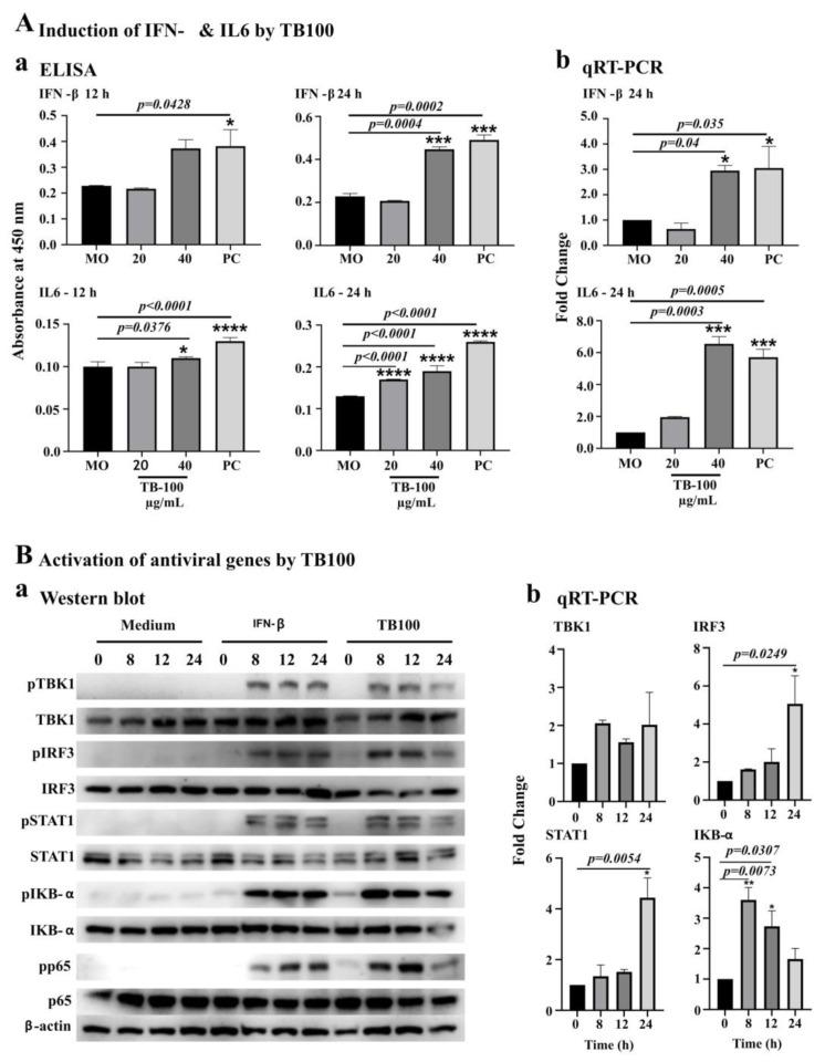 https://cdn.ncbi.nlm.nih.gov/pmc/blobs/8a06/10303568/41e3951808bd/viruses-15-01375-g003.jpg