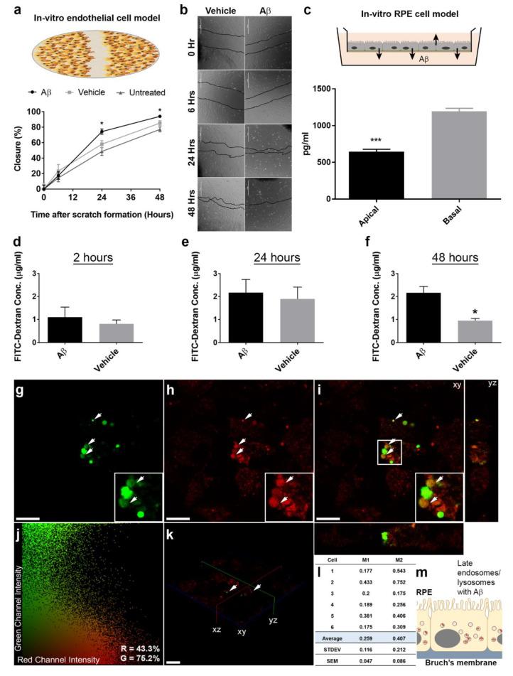 https://cdn.ncbi.nlm.nih.gov/pmc/blobs/8a14/7922851/1f11dc59873e/cells-10-00413-g005.jpg