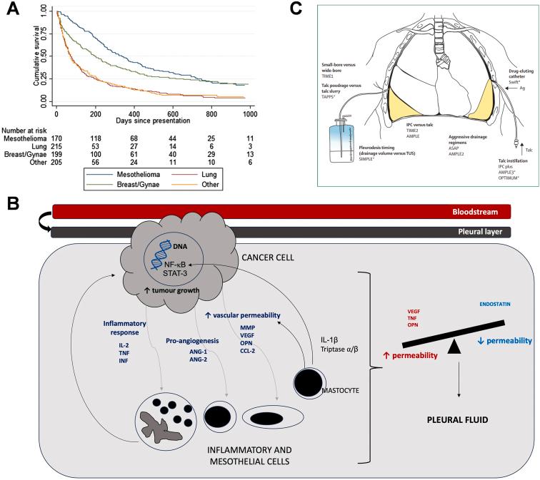 https://cdn.ncbi.nlm.nih.gov/pmc/blobs/8a3d/11699619/84be4d7b86c3/gr2.jpg