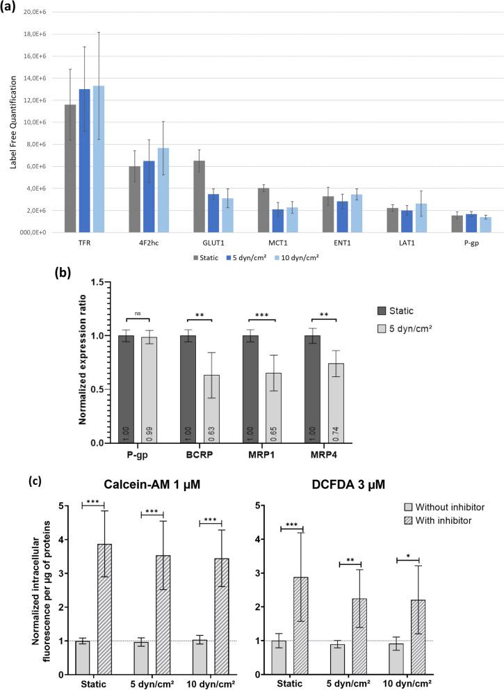 https://cdn.ncbi.nlm.nih.gov/pmc/blobs/8a46/9164338/64969becf4ce/12987_2022_344_Fig10_HTML.jpg
