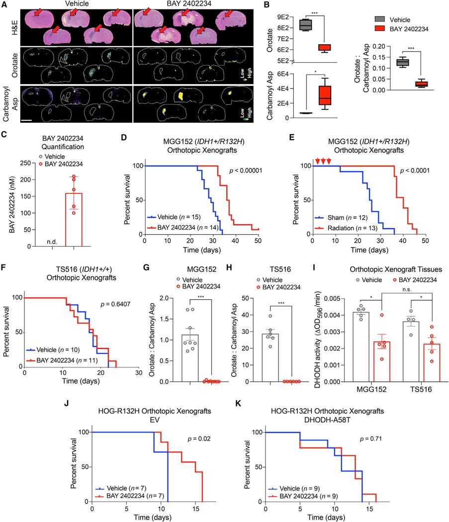 https://cdn.ncbi.nlm.nih.gov/pmc/blobs/8a52/9515386/9c05b33d3469/nihms-1828337-f0003.jpg