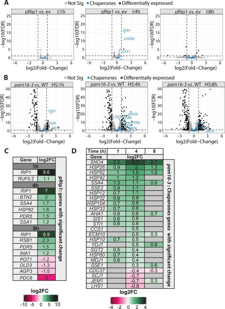 https://cdn.ncbi.nlm.nih.gov/pmc/blobs/8a56/8457837/b72ed86d3562/elife-65484-fig2.jpg