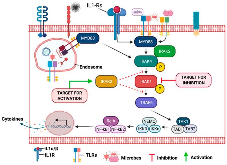 https://cdn.ncbi.nlm.nih.gov/pmc/blobs/8a60/10296711/c683c012b686/cancers-15-03110-g008.jpg