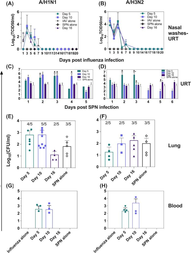 https://cdn.ncbi.nlm.nih.gov/pmc/blobs/8a62/10117794/1eec7c469a74/xtac011fig2.jpg