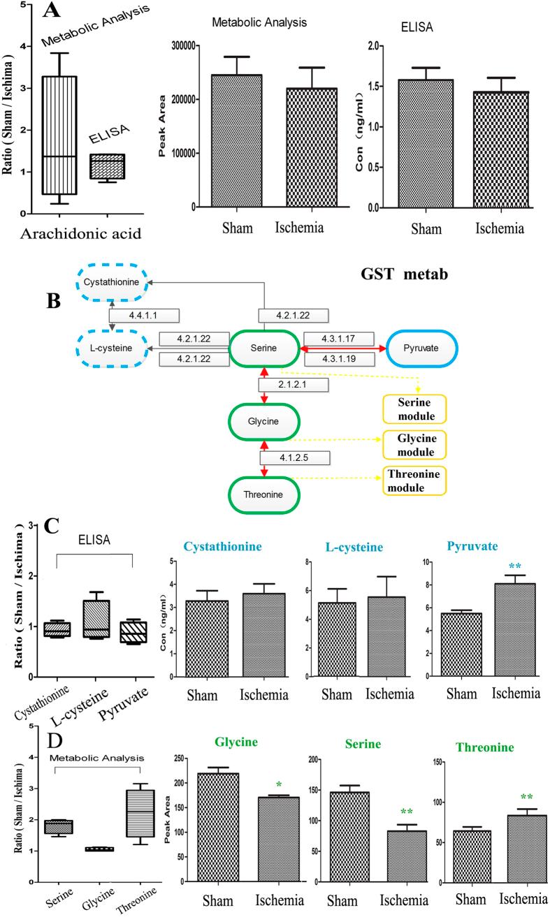 https://cdn.ncbi.nlm.nih.gov/pmc/blobs/8a6d/4664864/e6e95ddec2b8/srep17068-f6.jpg