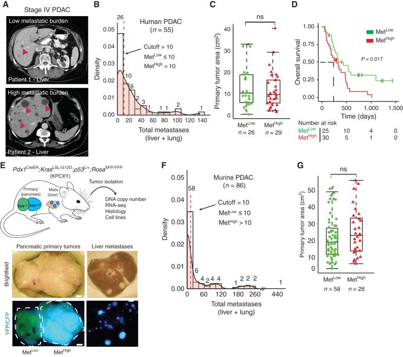 https://cdn.ncbi.nlm.nih.gov/pmc/blobs/8a7a/9651160/e98b76e09f9f/542fig1.jpg