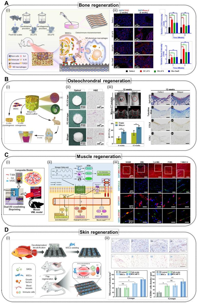 https://cdn.ncbi.nlm.nih.gov/pmc/blobs/8a86/12068294/34da285e9923/thnov15p5666g006.jpg