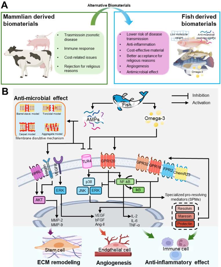 https://cdn.ncbi.nlm.nih.gov/pmc/blobs/8a86/12068294/ab846f8315ed/thnov15p5666g002.jpg