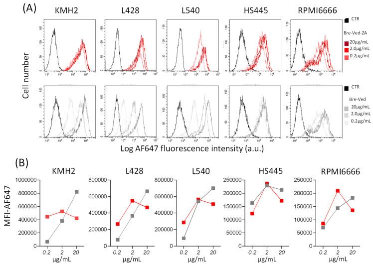https://cdn.ncbi.nlm.nih.gov/pmc/blobs/8a9e/11119185/06c59d5a7eeb/cells-13-00862-g003.jpg