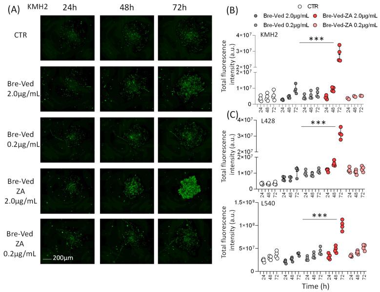 https://cdn.ncbi.nlm.nih.gov/pmc/blobs/8a9e/11119185/52148f096557/cells-13-00862-g007.jpg