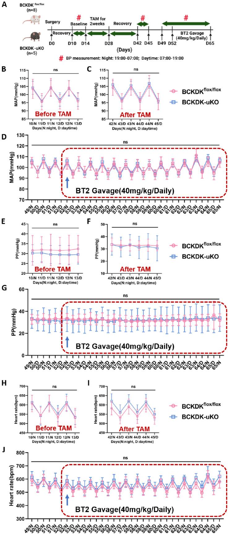 https://cdn.ncbi.nlm.nih.gov/pmc/blobs/8aad/12159833/3418ddcea537/thnov15p6257g005.jpg