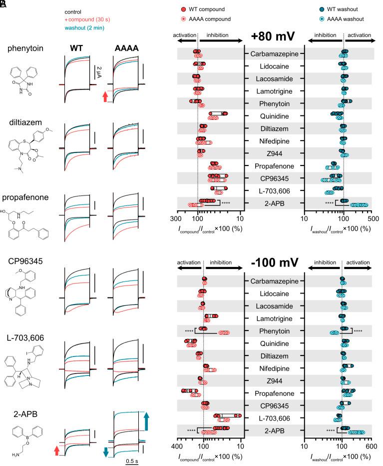 https://cdn.ncbi.nlm.nih.gov/pmc/blobs/8ab0/11145269/9ad0018c20f3/pnas.2401591121fig02.jpg
