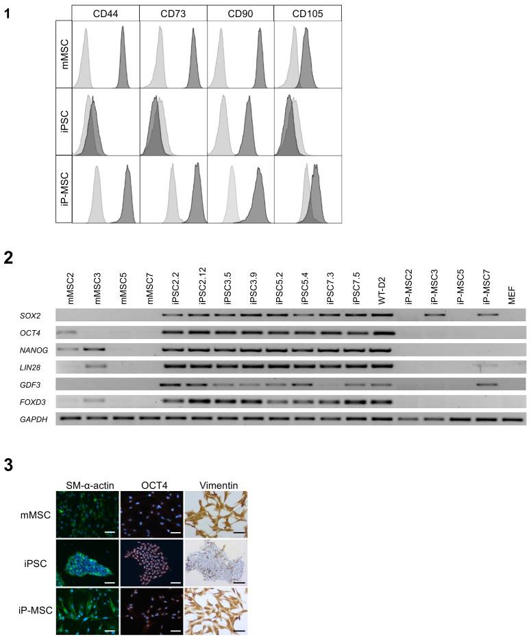https://cdn.ncbi.nlm.nih.gov/pmc/blobs/8ac1/7823915/01ec720b833e/cells-10-00033-g005.jpg