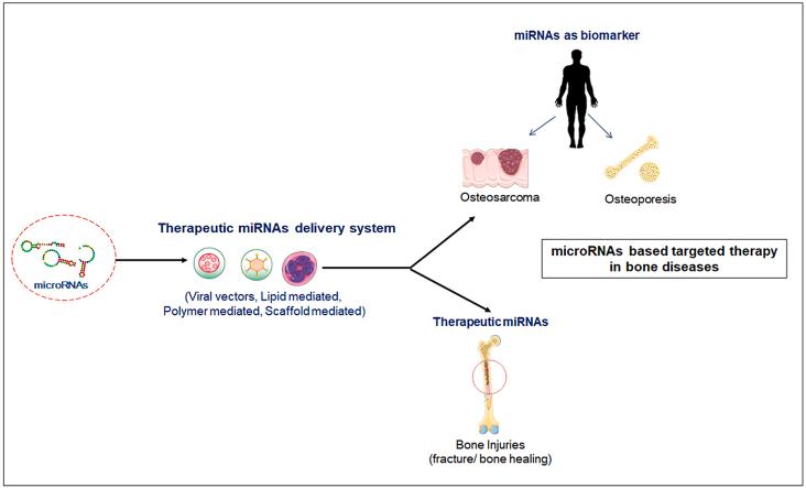 https://cdn.ncbi.nlm.nih.gov/pmc/blobs/8ac5/9860349/ba992890eb80/ga1.jpg