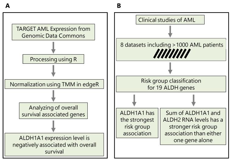 https://cdn.ncbi.nlm.nih.gov/pmc/blobs/8ac6/10531322/4916168c12e1/genes-14-01807-g001.jpg