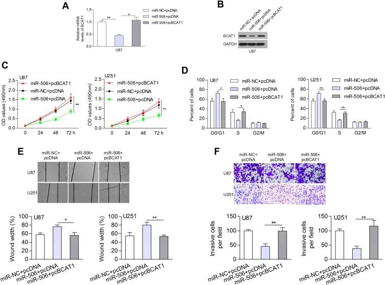 https://cdn.ncbi.nlm.nih.gov/pmc/blobs/8ac7/7108718/eb3029ca97b3/CMAR-12-2339-g0007.jpg