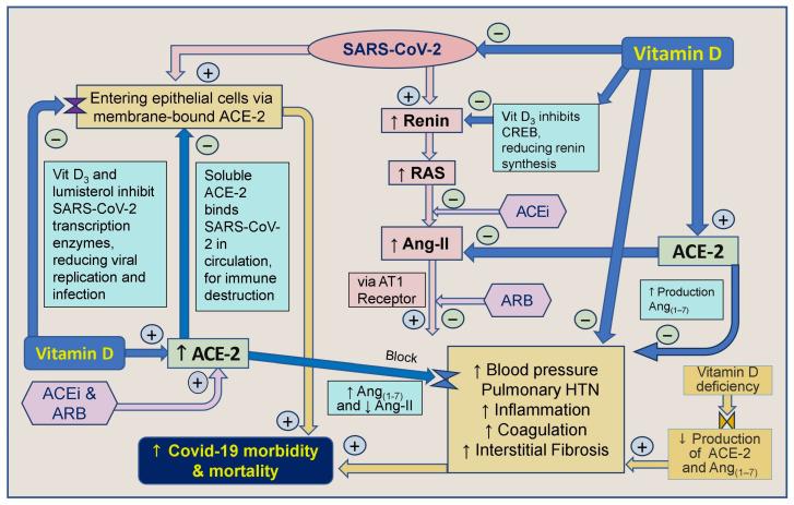https://cdn.ncbi.nlm.nih.gov/pmc/blobs/8ad2/11504239/0b48a5f854ed/biology-13-00831-g004.jpg